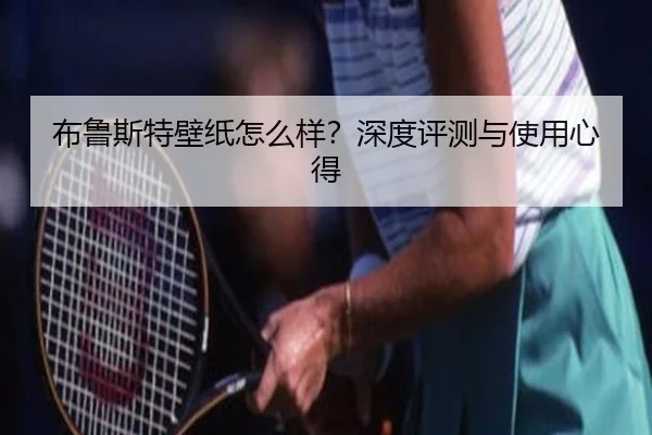布鲁斯特壁纸怎么样？深度评测与使用心得